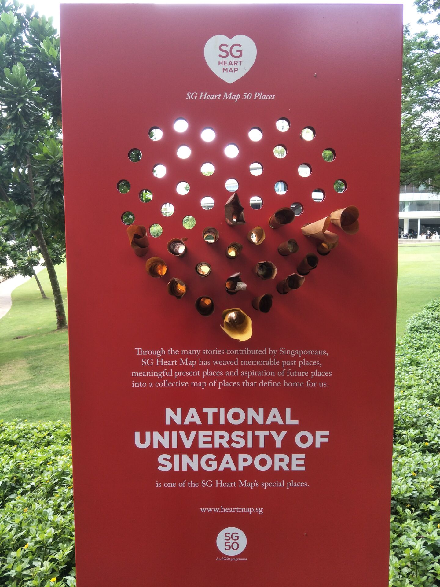 SG50