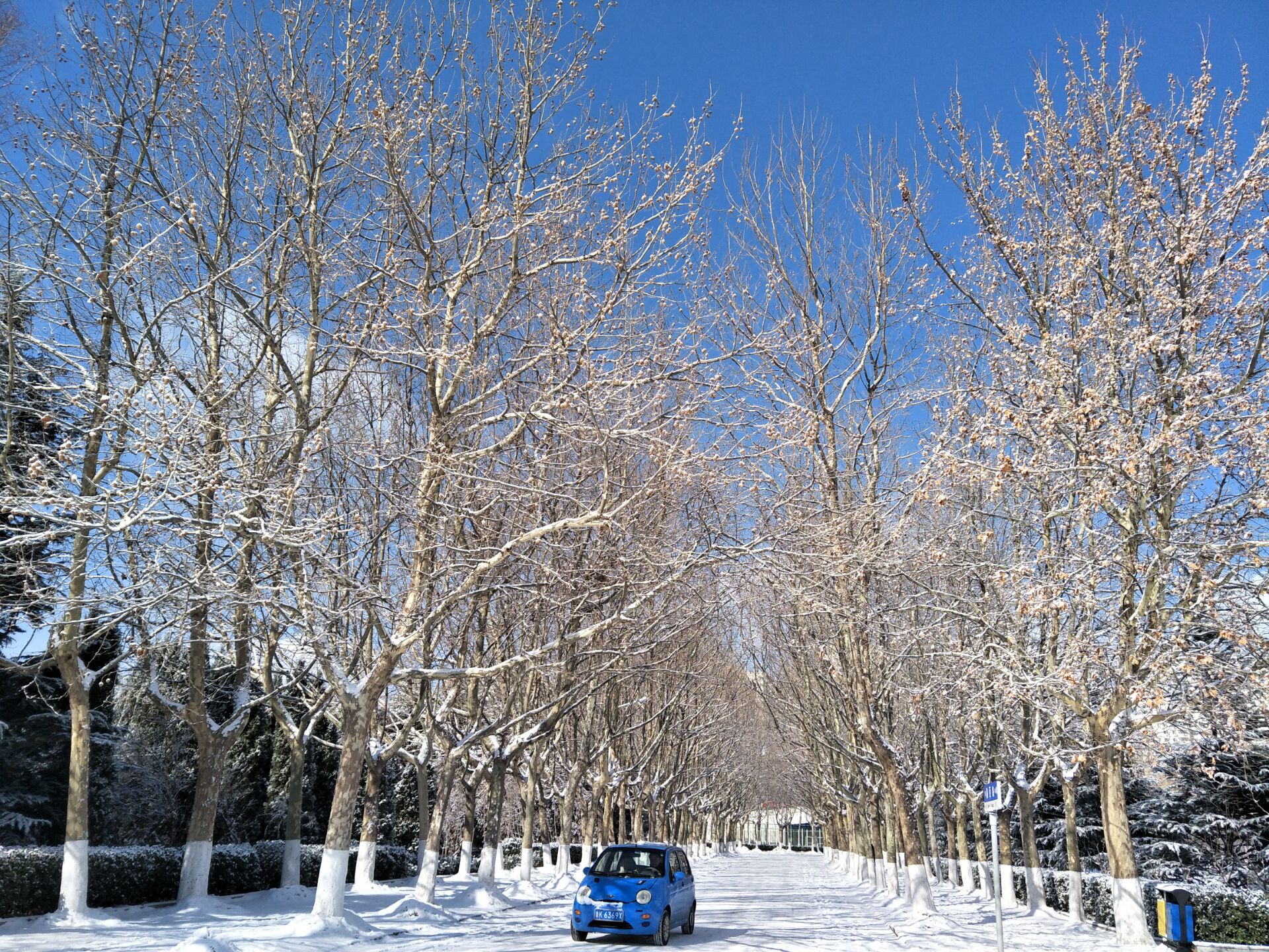 寒假哈威雪景